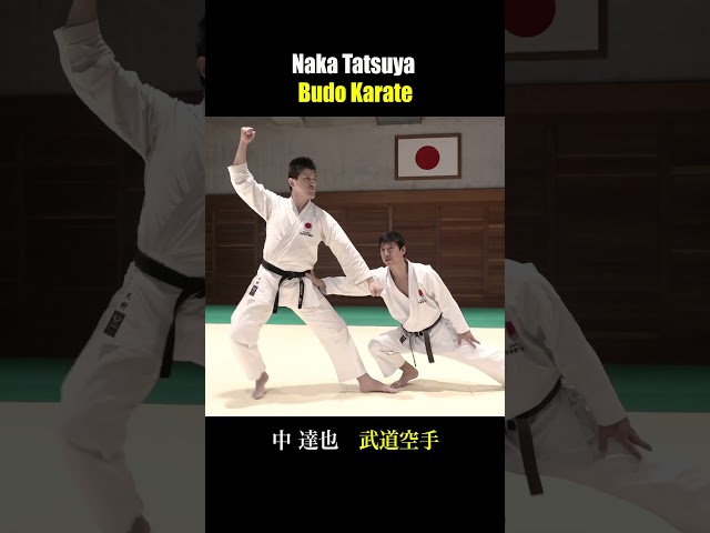 Force Distribution to Left and Right Hands /BUDO KARATE