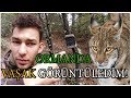 TEK BAŞIMA ORMANDA VAŞAK GÖRÜNTÜLEDİM! (I HAVE SEEN LYNX IN THE FOREST!)