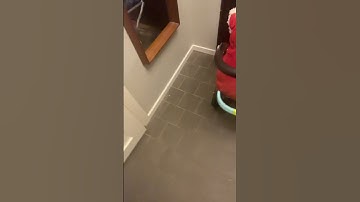 Am I zooming or looping? #shorts #zoom #loop