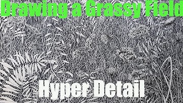 How to Draw Realistic Tall Grass, its Easy