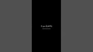 تلاوة هادئة للشيخ محمد اللحيدان من سورة يونس