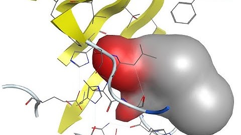 MOE Active Site Finder