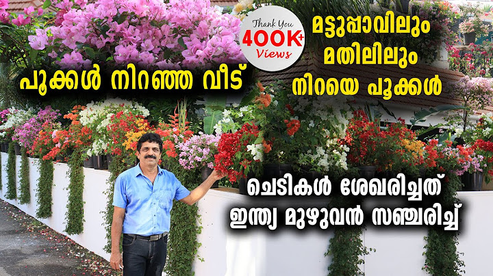 മട്ടുപ്പാവിലും മതിലിലും നിറയെപൂക്കൾ | ചെടികൾ ശേഖരിച്ചത് ഇന്ത്യ മുഴുവൻ സഞ്ചരിച്ച് Rare Bougainvillea