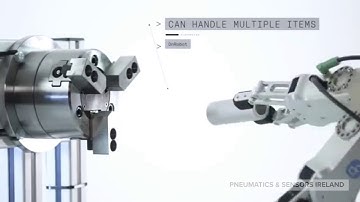 PSI - OnRobot RG2 and RG6 Dual Gripper