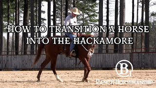 How To Transition a Horse Into the Hackamore Preview Net Worth