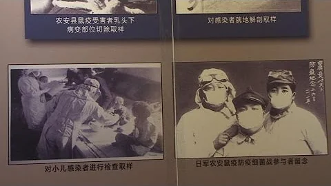 Chinese scars endure 70 years after Unit 731 liberation - DayDayNews
