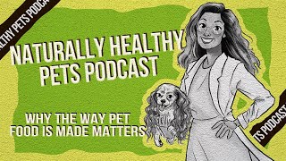 Why The Way Pet Food Is Made Matters | NHP Podcast Ep 28 | Dr. Judy Morgan & Braeden Ruud by Dr. Judy Morgan’s Naturally Healthy Pets 2,110 views 1 month ago 29 minutes