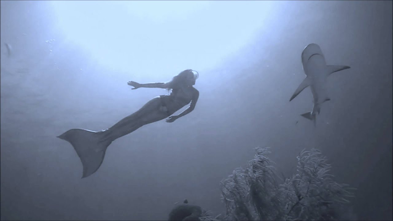 Get Lille havfrue under havet part dekorationer For Android Lille Havfrue Under Havet Part Dekorationer