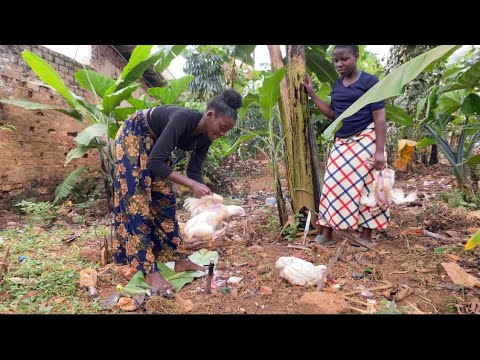 SLAUGHTERING CHRISTMAS CHICKEN UNDER BAREFEET🐓🐓//African Village Life