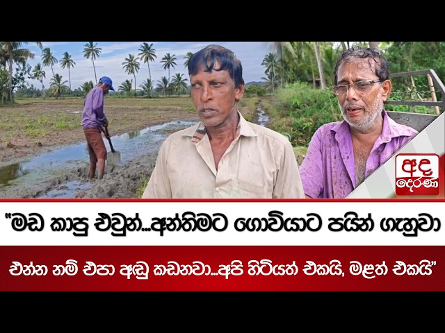 “මඩ කාපු එවුන්...අන්තිමට ගොවියාට පයින් ගැහුවා- එන්න නම් එපා අඬු කඩනවා...අපි හිටියත් එකයි, මළත් එකයි”