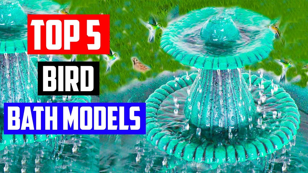 Best Bird Bath Models For Your Garden  [Top 5 Picks]