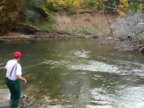 salmon creek fishing fall
