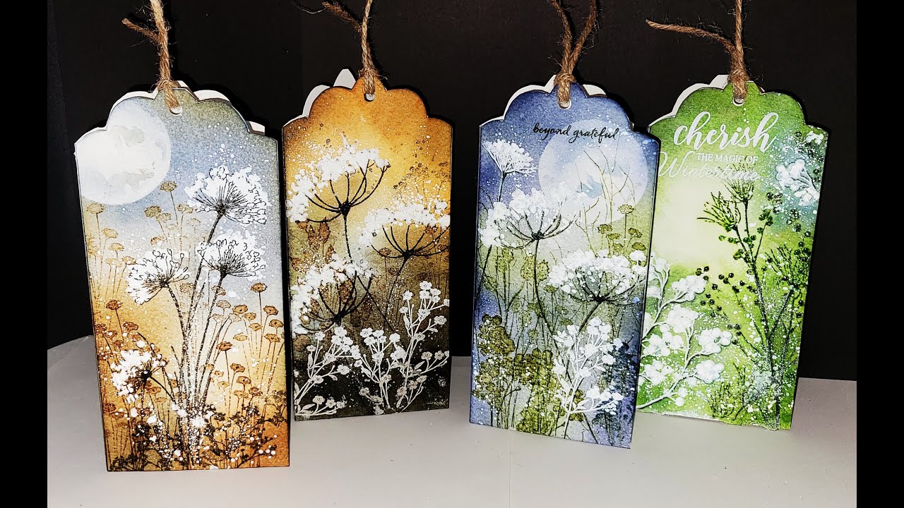 Fleurs de carottes - Queen Anne's Lace