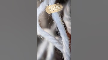 Maximum zoom on the object#shortvideo #asmr #macro