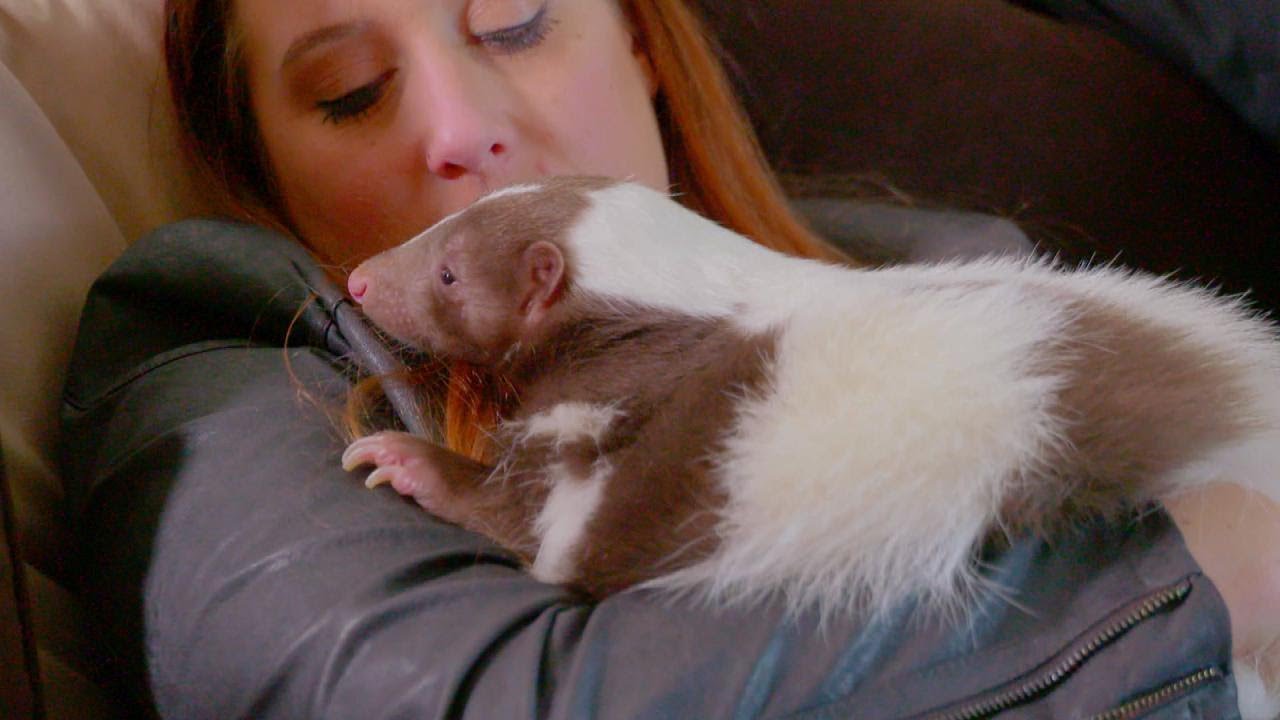 Exotic Animals Are Stealing Pet Lovers’ Hearts