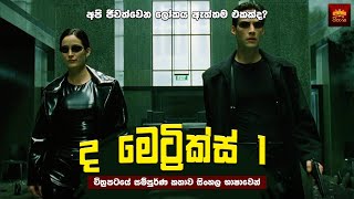 අපි ජීවත්වෙන ලෝකය ඇත්තම එකක්ද? - Movie Review Sinhala | Home Cinema Sinhala