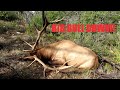 Unit 8 Bull Elk. Rifle Hunt | BIG BULL DOWN!!!