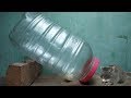 mouse trap made from plastic bottle,water bottle mouse rat trap,make rat trap at home