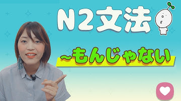 【N2文法】#14 〜ものではない
