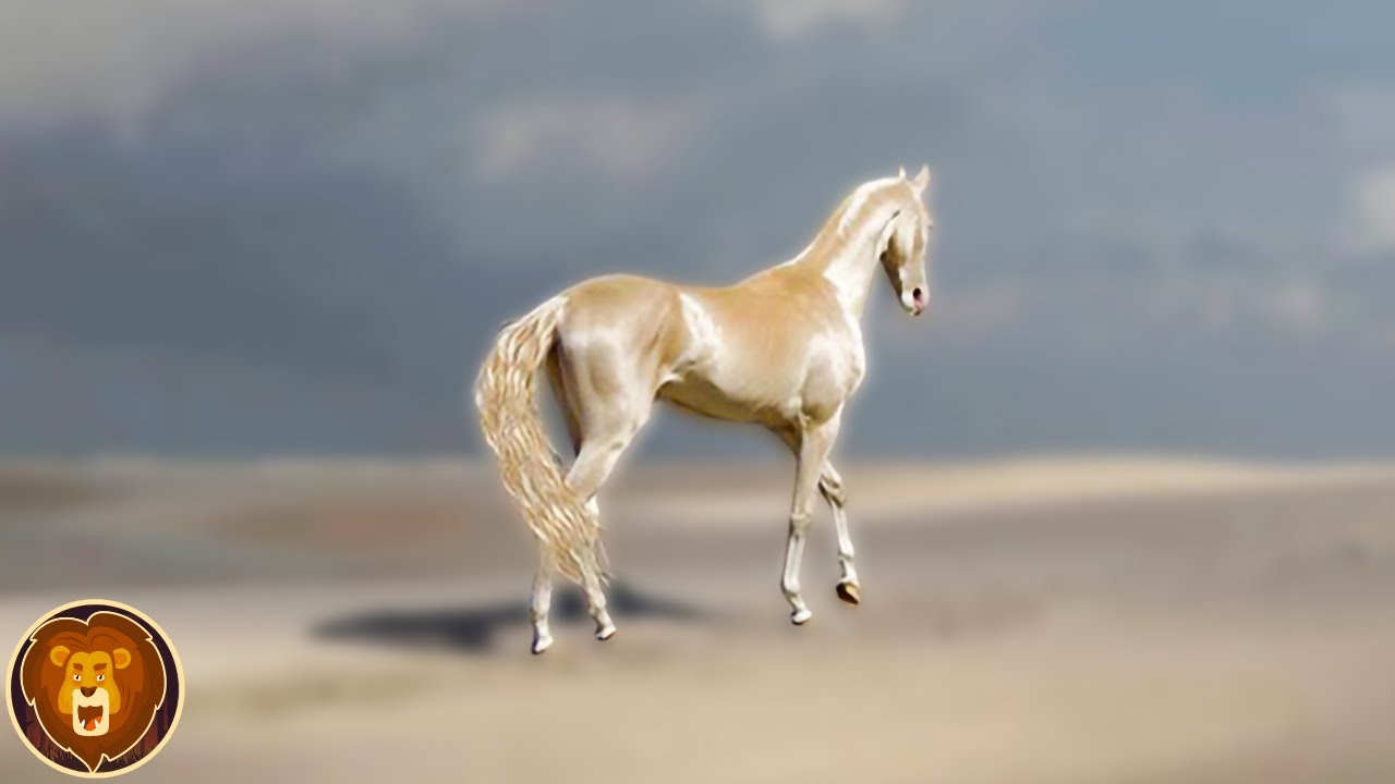 Die seltensten Pferderassen der Welt