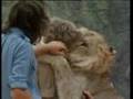 Christian the lion  full ending