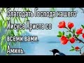 #SolaAmore 🔴Утро 2026.06.04 #АрхиепископСергейЖуравлев #Обновленец #ЯиОтецОдно #ПапочкаБог #Авва #ЖЦ