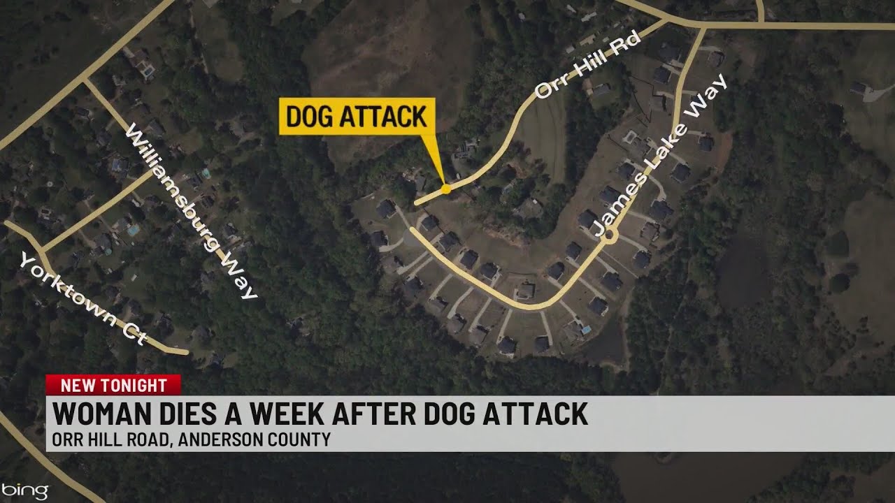 Woman Dies a Week After Being Attacked by Her Own Dog - YouTube