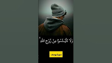 تلاوه خاشعه|| للشيخ خالد الجليل|| سوره يوسف #القرآن_الكريم #تلاوات #تلاوة_خاشعة #خالد_الجليل #مسلم
