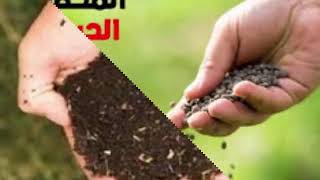 منهج الصف الثالث الثانوي الترم الاول لتكنولوجيا الزراعة