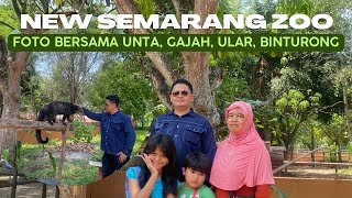🔴#219 New Semarang Zoo (Kebun Binatang Semarang) ‼️ Nuansa baru dengan pengelolaan baru