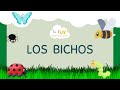 Los bichos  vocabulario de los bichos  hiszpaski dla dzieci la nube