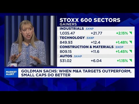 European small caps have outperformed this year, Goldman Sachs strategist says Episode cover