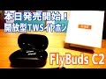 インナーイヤー開放型 最新TWSイヤホン Tribit FlyBuds C2登場！セール情報有り！【本日発売】
