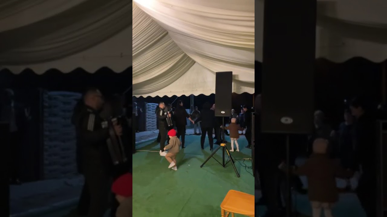 Formația MELODIC -Yala, yala, yala joacă toată țara +colaj(solist:Vali Rădulescu, acordeon:Adi Vladu