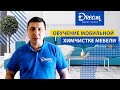 Обучение мобильной химчистке мебели от Dream Group