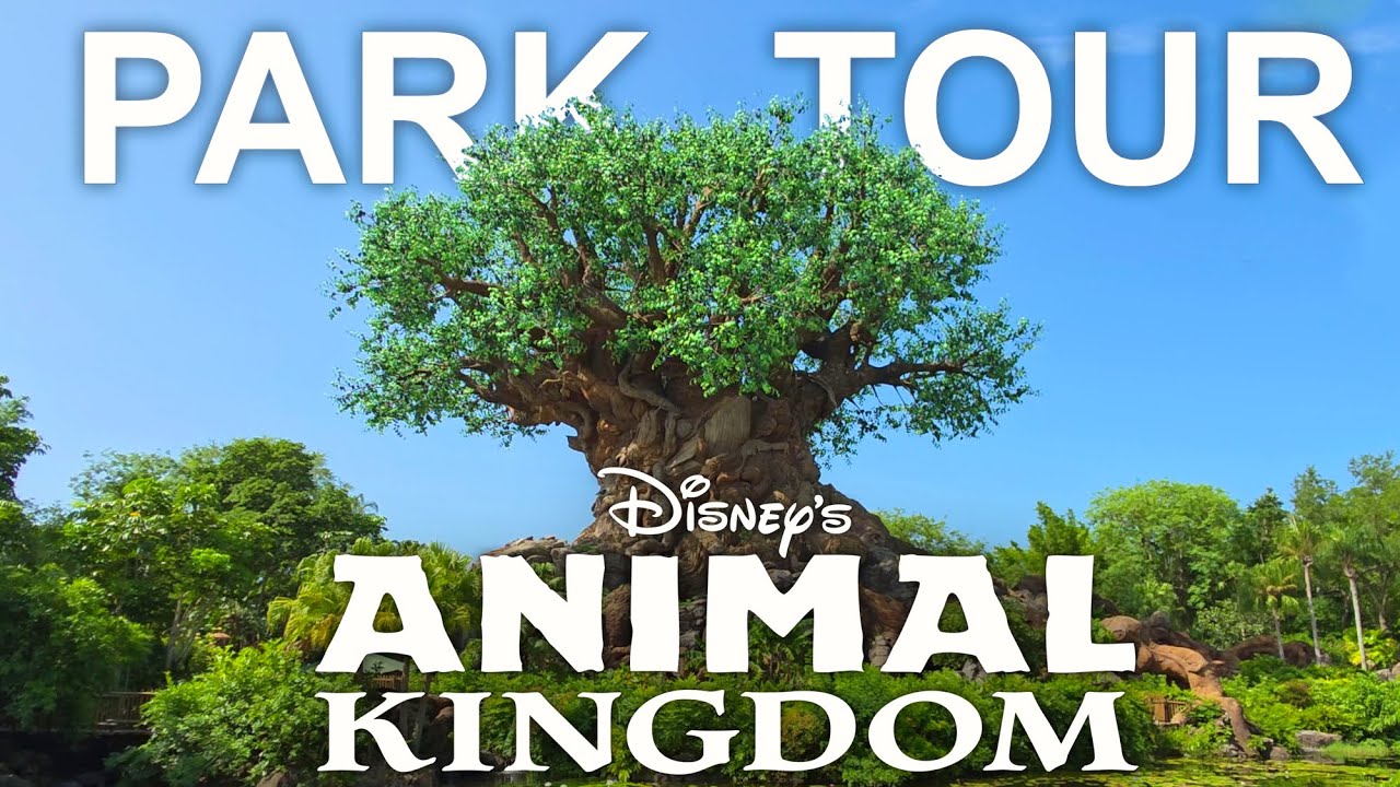 Disney's Animal Kingdom - Complete Walkthrough [4K] Walt Disney World Resort