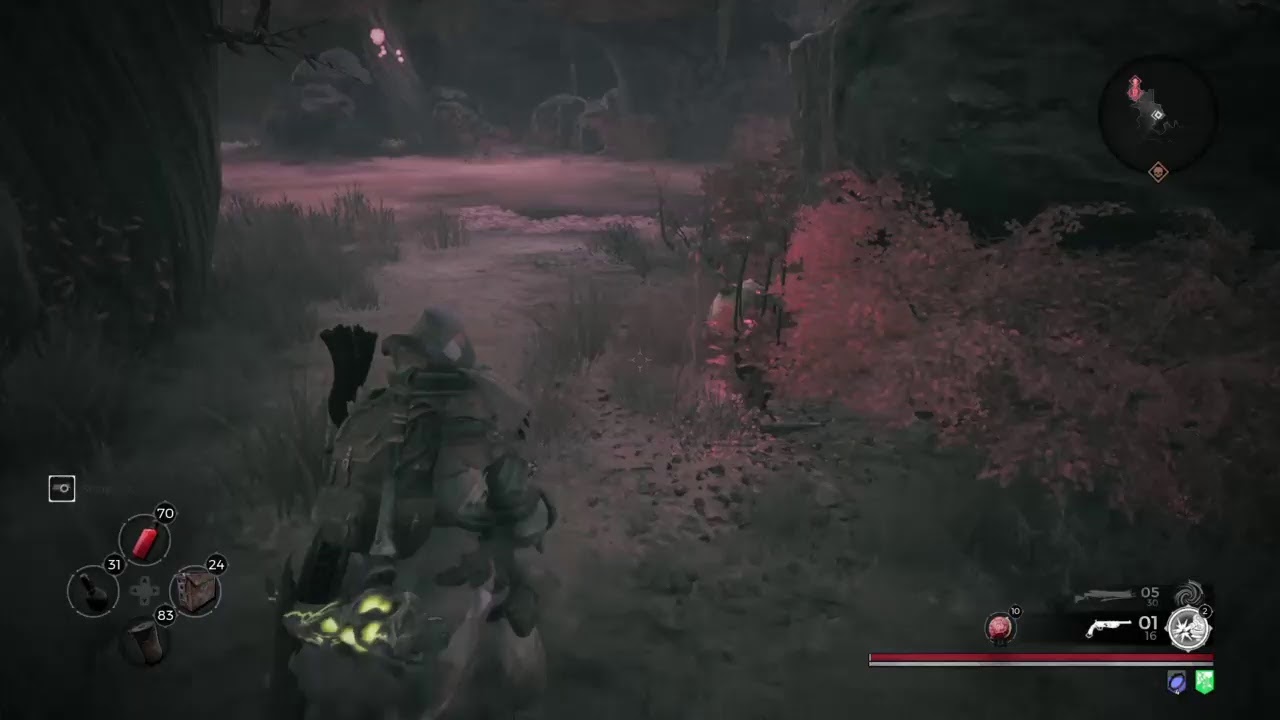 Remnant from the ashes hunting leto set