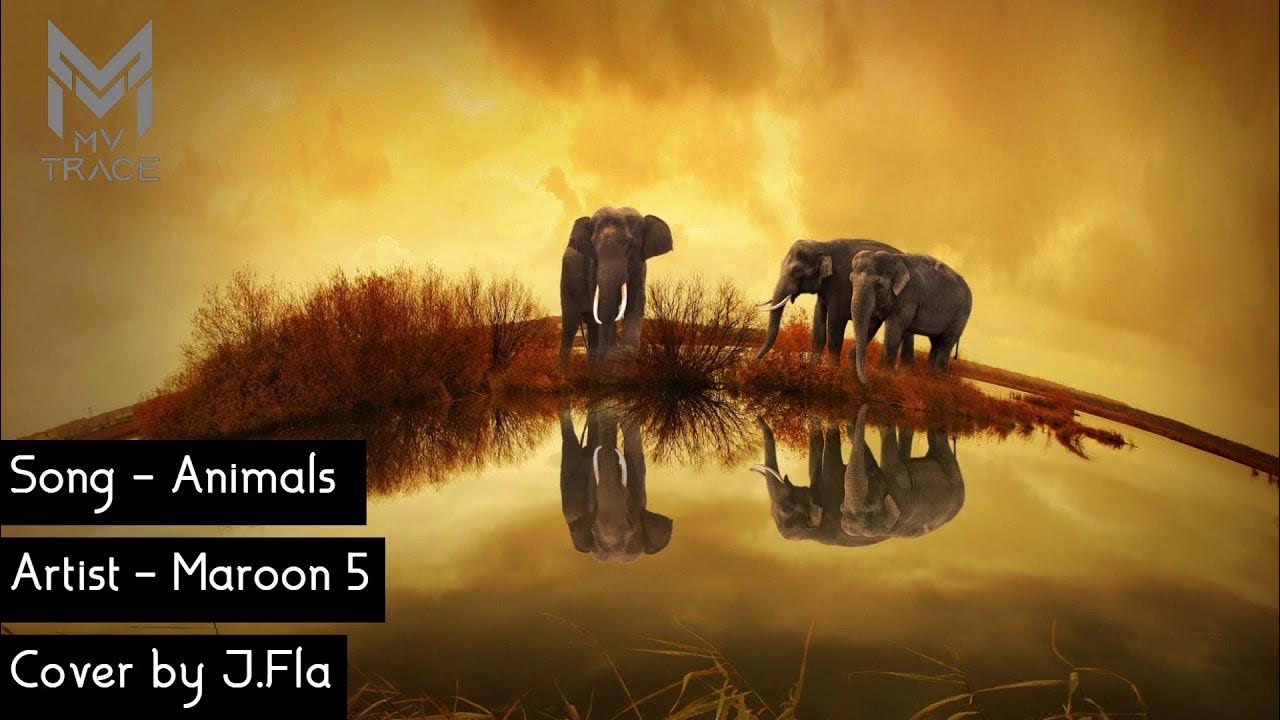 Animals - Maroon 5 (Cover by J Fla) Animals - Maroon 5 (Cover by J Fla)