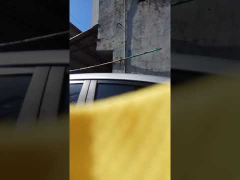 莊惠琪(8)
