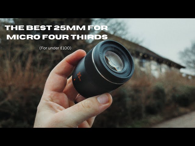 失*た様 YONGNUO YN455 アップデート版+ 純正25mm F1.7レ sddefault.jpg