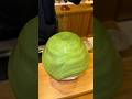 Assembling REAL matcha shaved ice🍵 #japanesefood #matcha #大好物は高カロリー