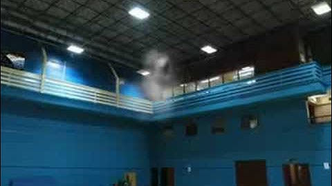 Phoenix Rc Sim Trex 600n indoors 3d