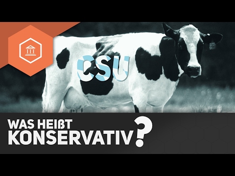 Video: Welche Politik unterstützen Konservative?