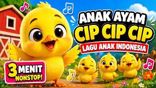 Anak Ayam Cip Cip Cip 🐥 Lagu Anak Viral Lucu & Ceria!