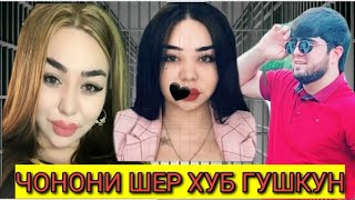 Чонони шер лав хуб гушкун жоский атвет😱 /Далер официаль/2023.