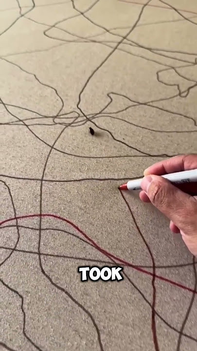 The Insect That Changed an Artist’s Life