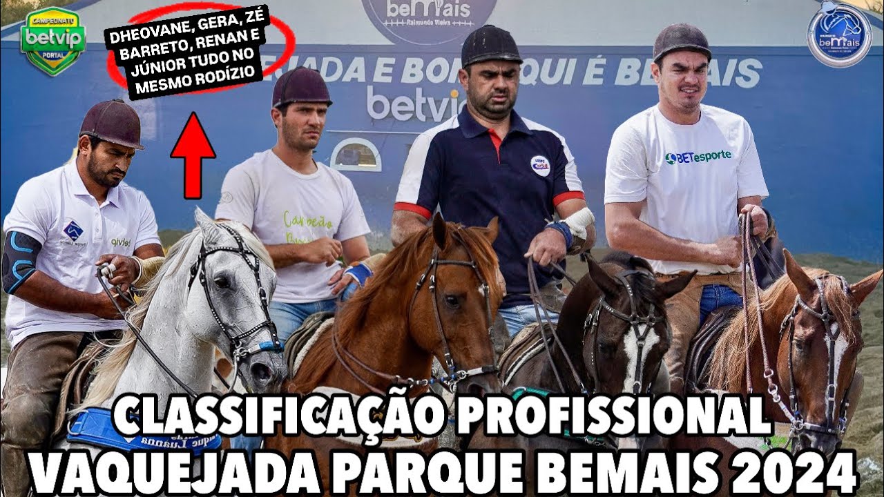 CLASSIFICAÇÃO PROFISSIONAL |VAQUEJADA DO PARQUE BEMAIS 2024 CANAL VAQUEJADA AO VIVO 