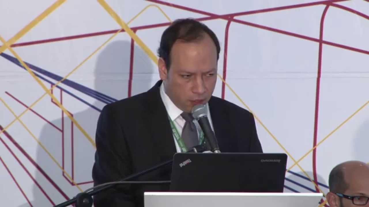 El rol de las multilaterales para el financiamiento de metros: El caso de Lima medellin zoo