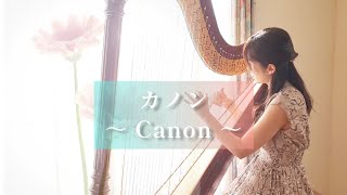 Canon カノン /  パッヘルベル 【ハープ演奏】