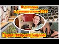 ПОДГОТОВКА К ДАЧНОМУ СЕЗОНУ 2023/ПОСЕВ ПЕТУНИИ/КАК ВЫГЛЯДИТ ПЕТУНИЯ/ПЕРВАЯ ПИКИРОВКА ПЕТУНИИ/